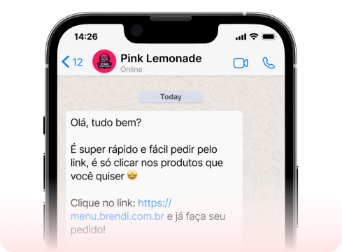 Demonstração de disparos em massa para clientes no WhatsApp